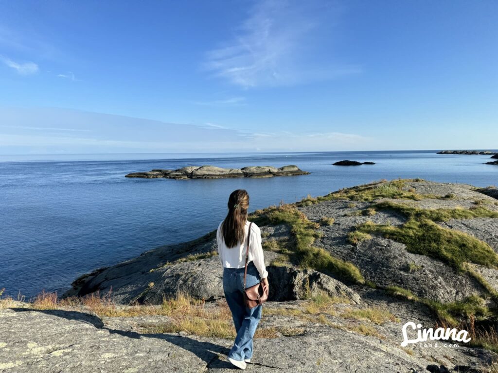 Hamnøy Scenic Viewpoint