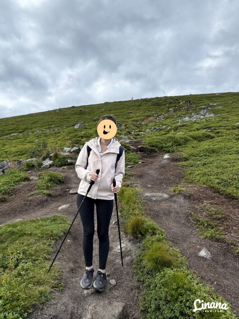 Offersøykammen