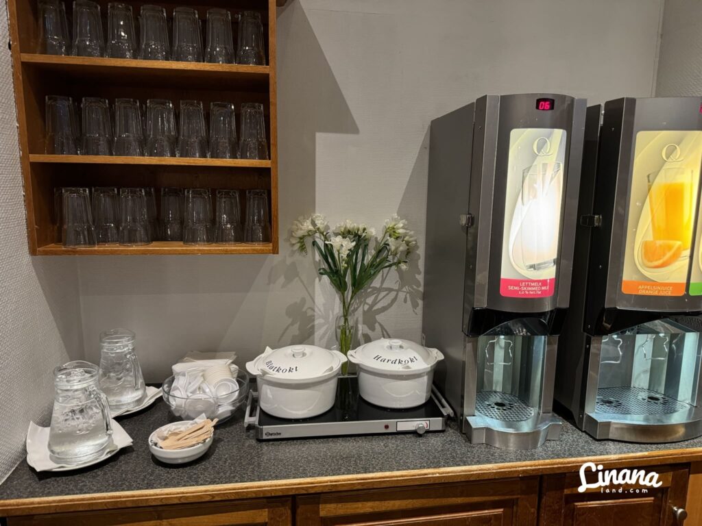 哈當厄爾酒店 Hardanger Hotel