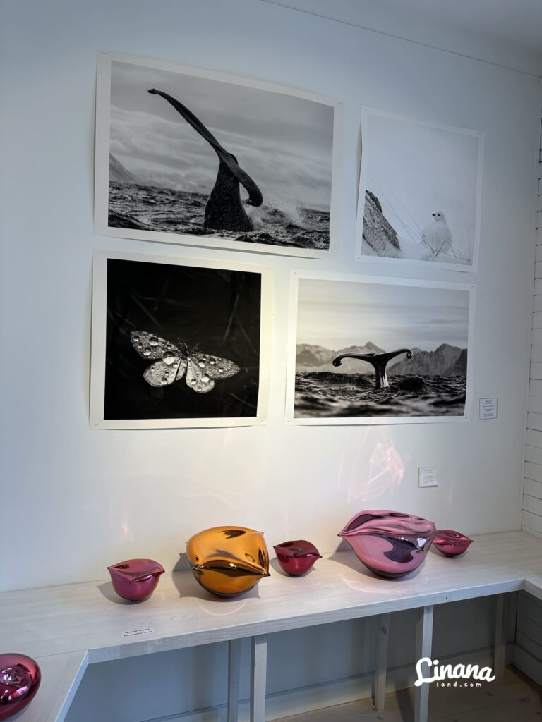 亨寧斯韋爾(Henningsvær)