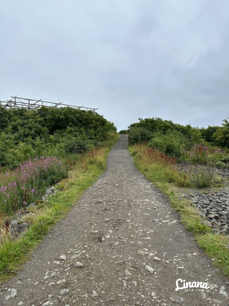 亨寧斯韋爾(Henningsvær)